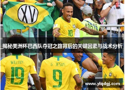 揭秘美洲杯巴西队夺冠之路背后的关键因素与战术分析