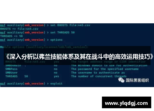 《深入分析以弗兰技能体系及其在战斗中的高效运用技巧》
