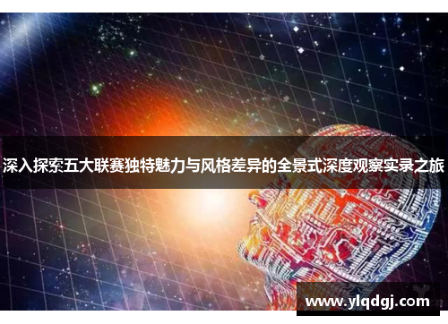 深入探索五大联赛独特魅力与风格差异的全景式深度观察实录之旅